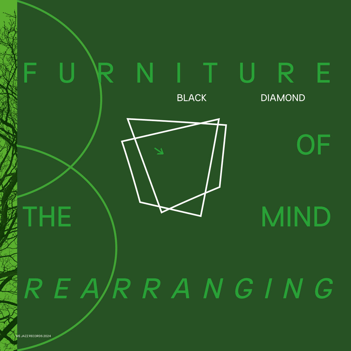 Furniture Of the Mind Rearranging (New 2LP)