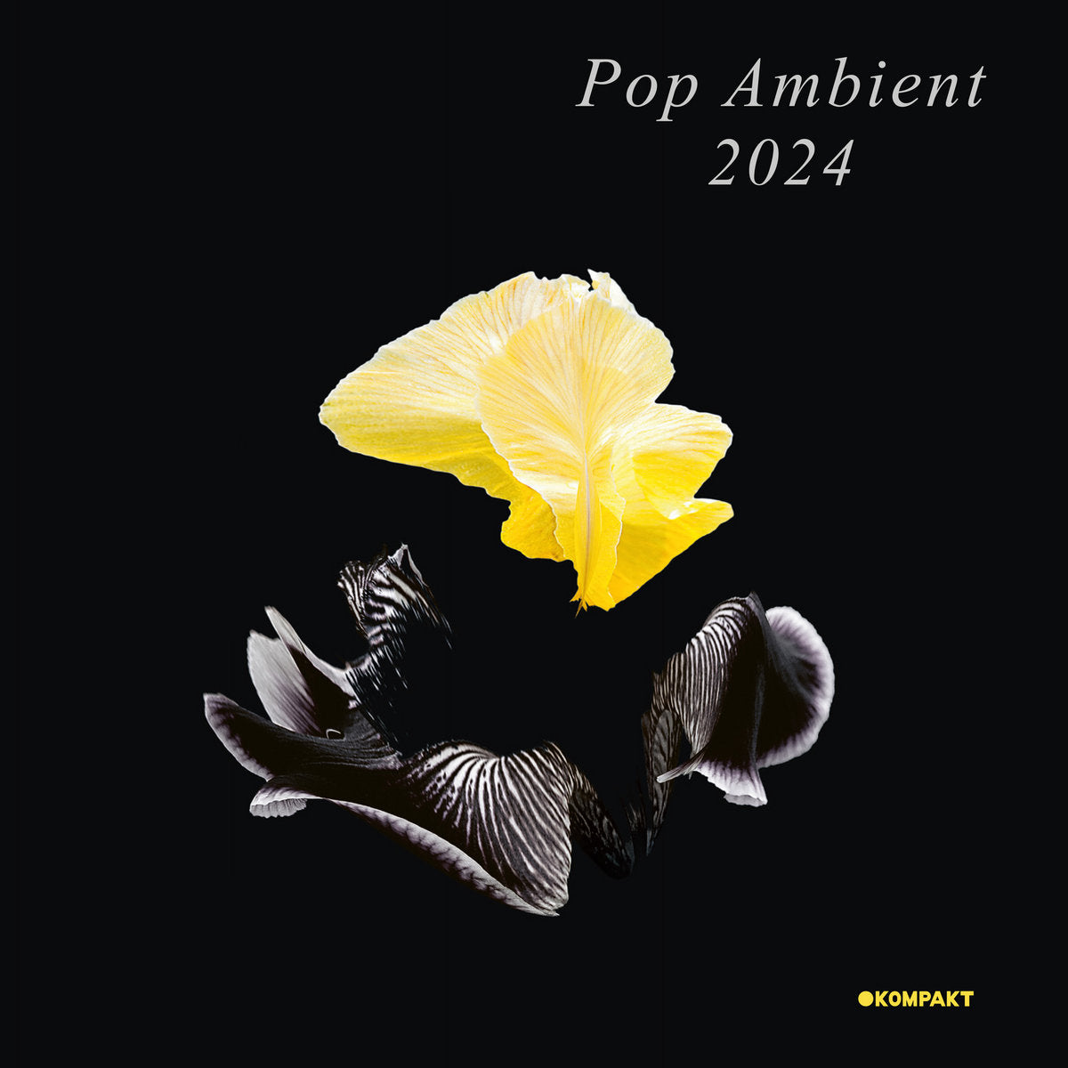 Pop Ambient 2024 (New LP)