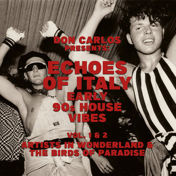 Echoes Of Italy Vol.1 - Early 90's House Vibes - Artists in Wonderland (New 2LP)